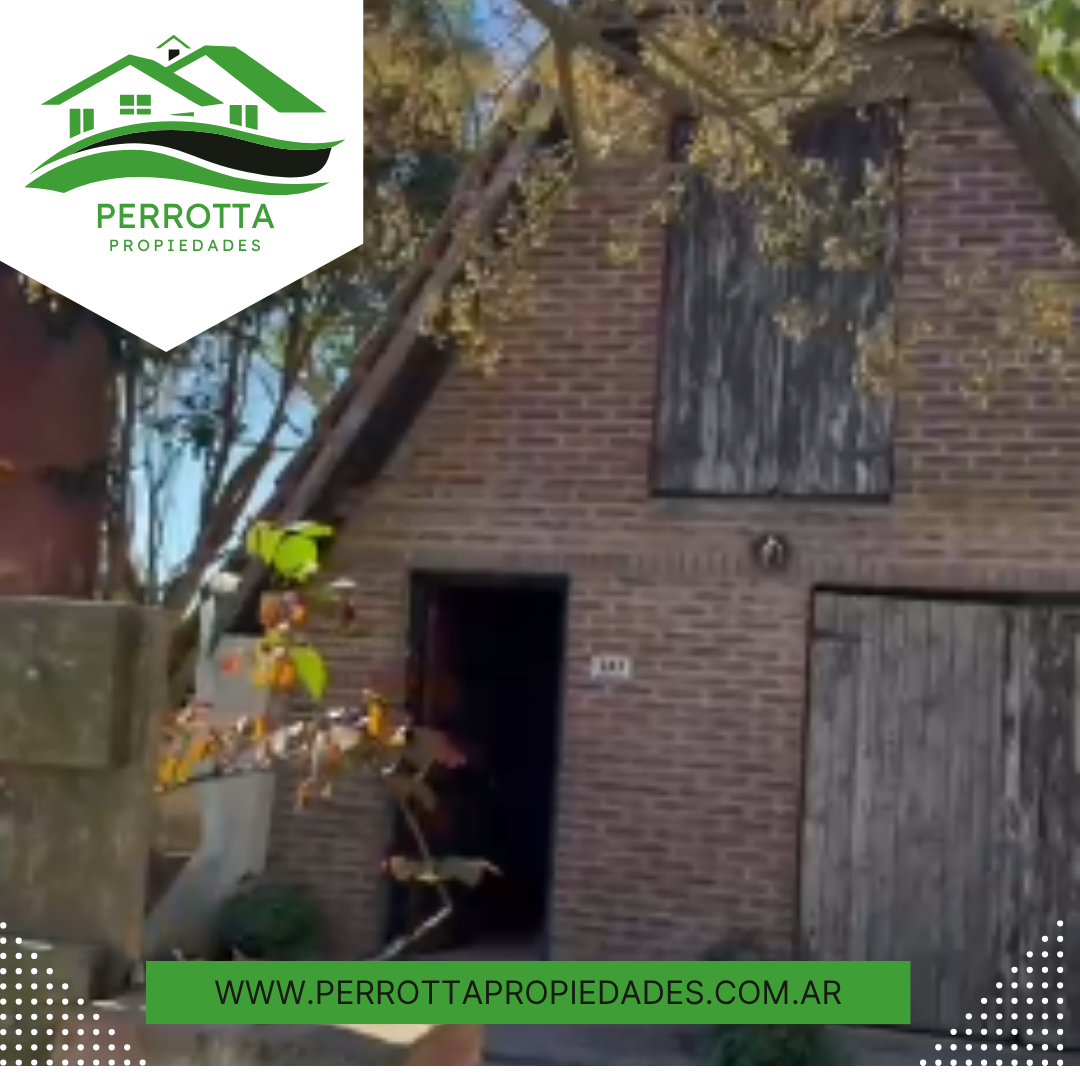 ALPINO SELVA NEGRA (1)