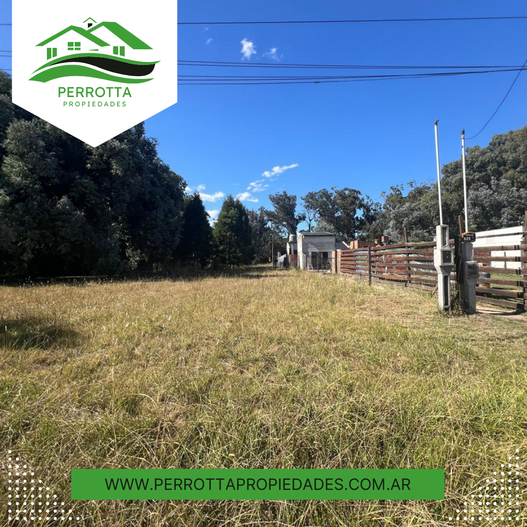 EL GAVILÁN ENTRE EL BENTEVEO Y EL CARPINTERO