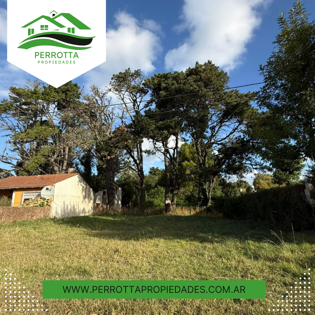 LOTE CIVITAVECCHÍA ENTRE CHIPRE Y RODAS