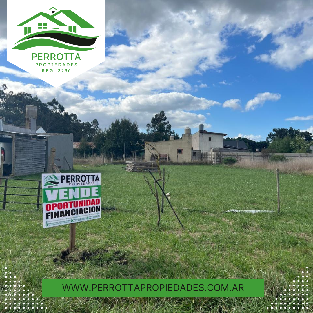 CABEZA DE VACA AL 200 LISTAS